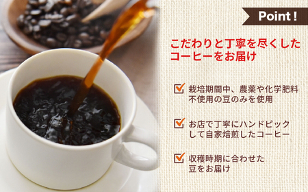 栽培期間中、農薬と化学肥料不使用の豆を使用したドリップコーヒー 珈琲 ドリップバッグ 7袋  自家焙煎珈琲　お手軽セット ハンドピック [Q1364_u] 飛騨市