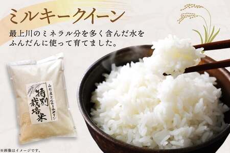 米 令和7年度産 特別栽培米 ミルキークイーン 5kg [渡部ファーム 山形県 高畠町 tk06ays810032]