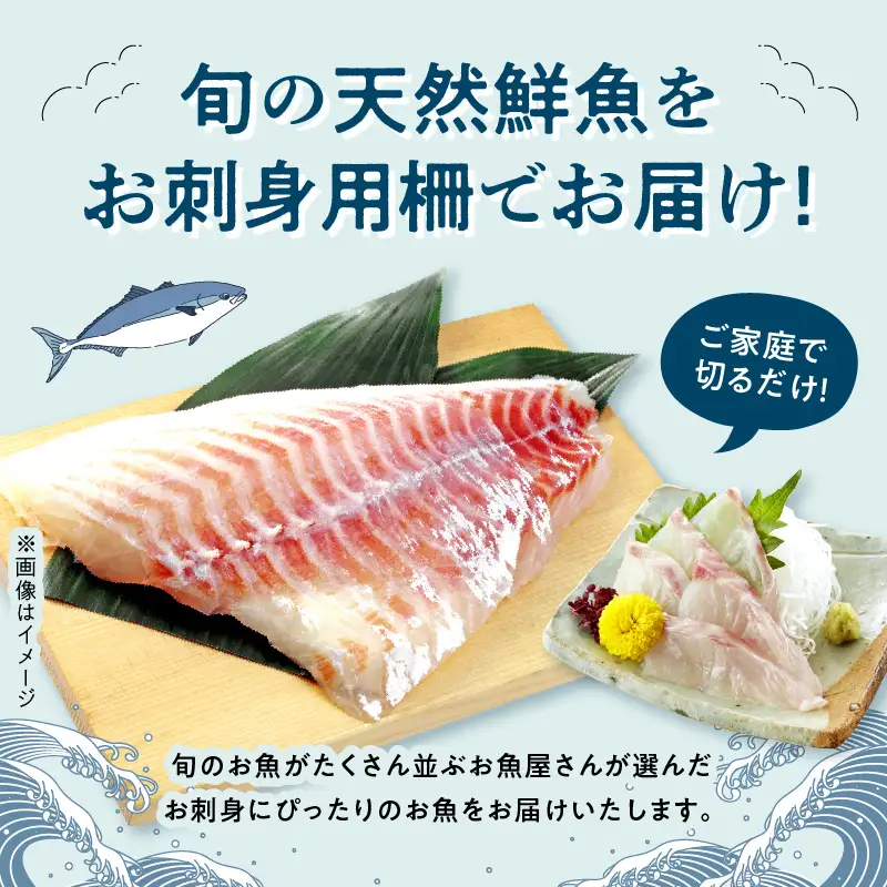 S121-T04_【隔月　3回お届け】天草天然鮮魚を直送　お刺身用柵定期便