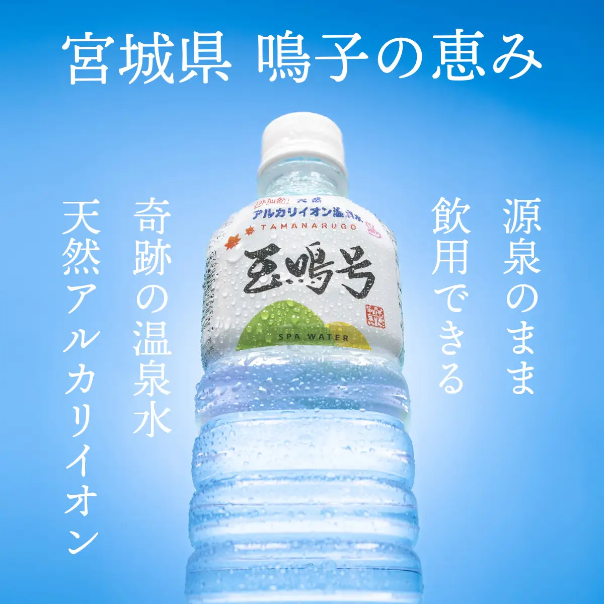 水 温泉水 玉鳴号 500ml×24本 天然アルカリイオン温泉水 大崎市 ボディプラスインターナショナル
