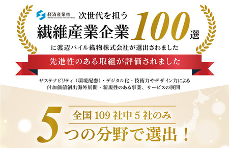 （今治タオルブランド認定）しっかりサマルカンドフェイスタオル 1枚 ベージュ 今治タオル ふっくら フェイスタオル [IA05290FT1BE]
