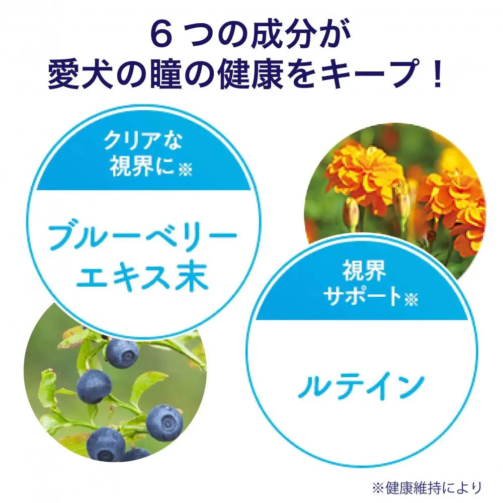 目のトラブル対策に！DHC 犬用 国産 ぱっちり《無添加》4個セット｜ペット 犬 DHC