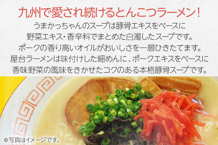 九州の味 豚骨ラーメン2種×5食セット（合計10食：うまかっちゃん5食・屋台ラーメン5食） お取り寄せグルメ お取り寄せ 福岡 お土産 九州 福岡土産 取り寄せ グルメ 福岡県
