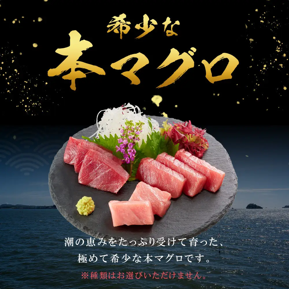 本マグロ トロ+赤身セット 500g | 大トロ 中トロ 鮪 刺身 寿司