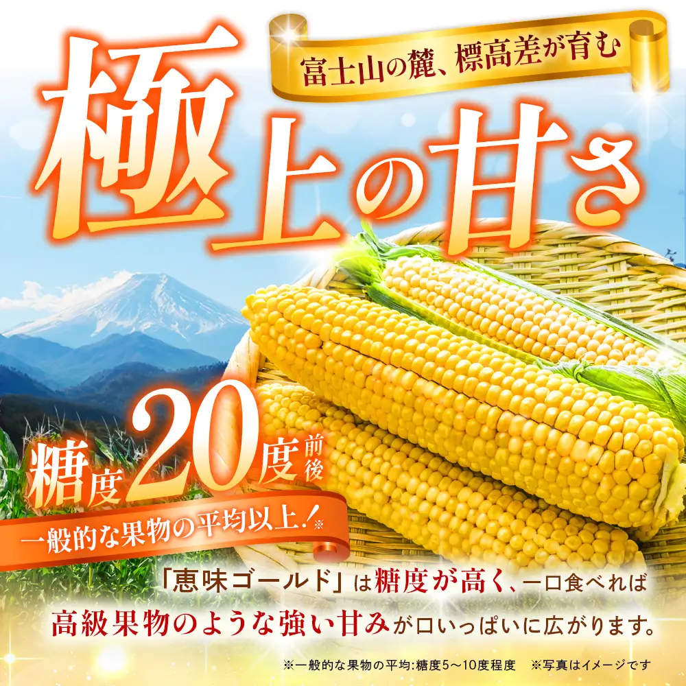 【2026年収穫分先行予約】【訳あり】富士山 恵味ゴールド｜トウモロコシ10～15本｜