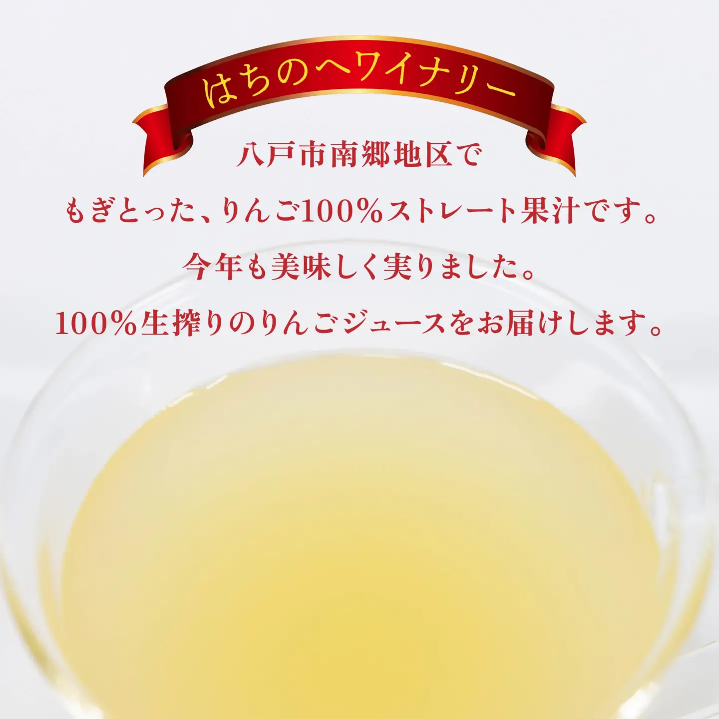 八戸南郷産リンゴ100％ジュース720ml×６本入り 生絞り やちよ　