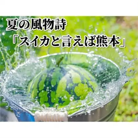 小玉すいか 秀品 2玉 約2～3kg【2026年5月下旬～7月下旬発送予定】【1586188】