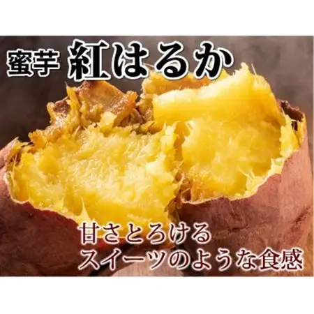 紅はるか 秀品(約10kg)(益城町)【1586864】