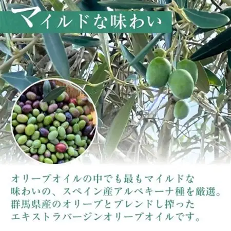 クラフトオリーブオイル　2種　ガーリック・バジル　100ml×各1本_調味料 オリーブオイル 食用油 _【1585170】
