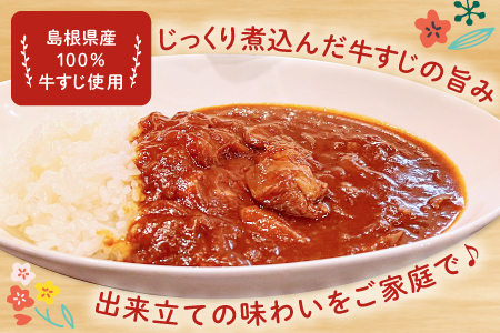 牛すじトロトロハヤシ 5個セット【ハヤシライス 5個 1食 200g レトルト食品 レトルトハヤシ レトルト 長期保存 すじ肉 牛肉 詰め合わせ セット 備蓄用 災害備蓄 島根県 大田市】