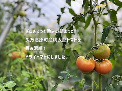 ドライトマト 150g｜旨味凝縮（約15〜20倍）久万高原町産 桃太郎トマト使用｜升田農園 料理用 おつまみ ※2026年7月～発送