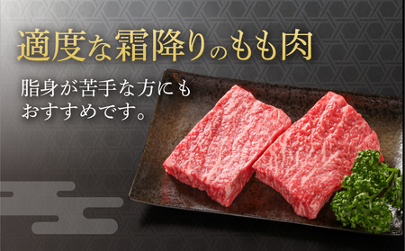 飛騨牛 赤身ステーキ 200g 黒毛和牛 和牛 飛騨高山ミート [MS028]