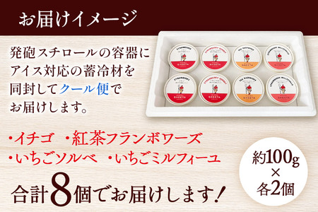ジェラート詰合せ いちごセット（イチゴ・いちごソルベ・紅茶フランボワーズ・いちごミルフィーユ）約100g×8個（各種2個ずつ）