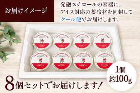 ジェラート いちごソルベ 約100g×8個