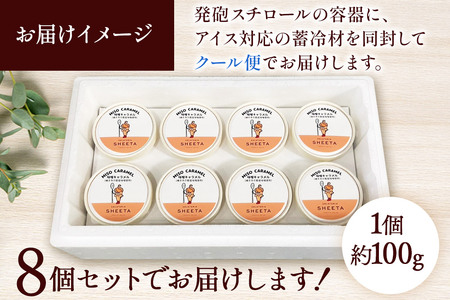 ジェラート 味噌キャラメル 約100g×8個