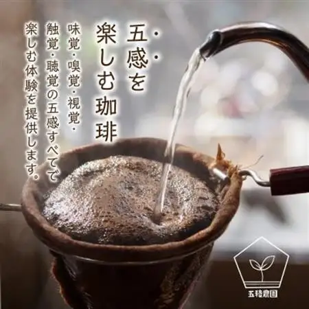 五稜珈琲100g×5ヶ国セット【1186203】