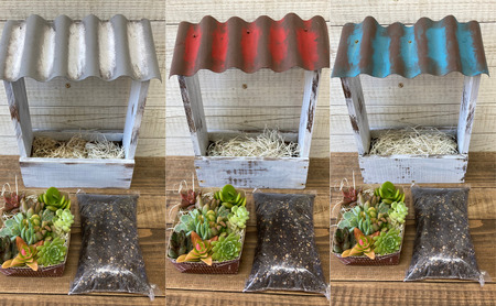 多肉植物 じぶんで植える 多肉 寄せ植えキットD 木製 屋根付き プランター 全3色 インテリア 植物 寄せ植え ガーデニング 福岡 小郡市 青色