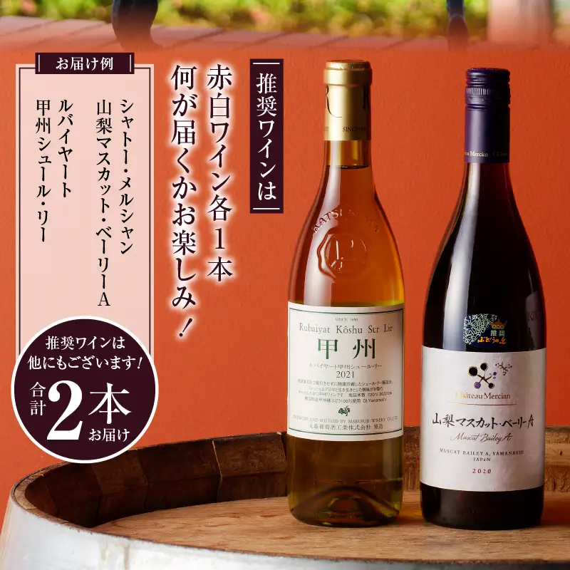 ワイン ぶどうの恵みセット　赤白ワイン（各１本）とぶどうジュース１本セット（KBO）C-653