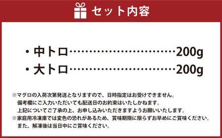 CS-223 鹿児島県産本マグロ 大トロ＆中トロセット 合計400g 本マグロ マグロ 大トロ 中トロ セット  刺身 刺し身 【2026年1月下旬より順次出荷】