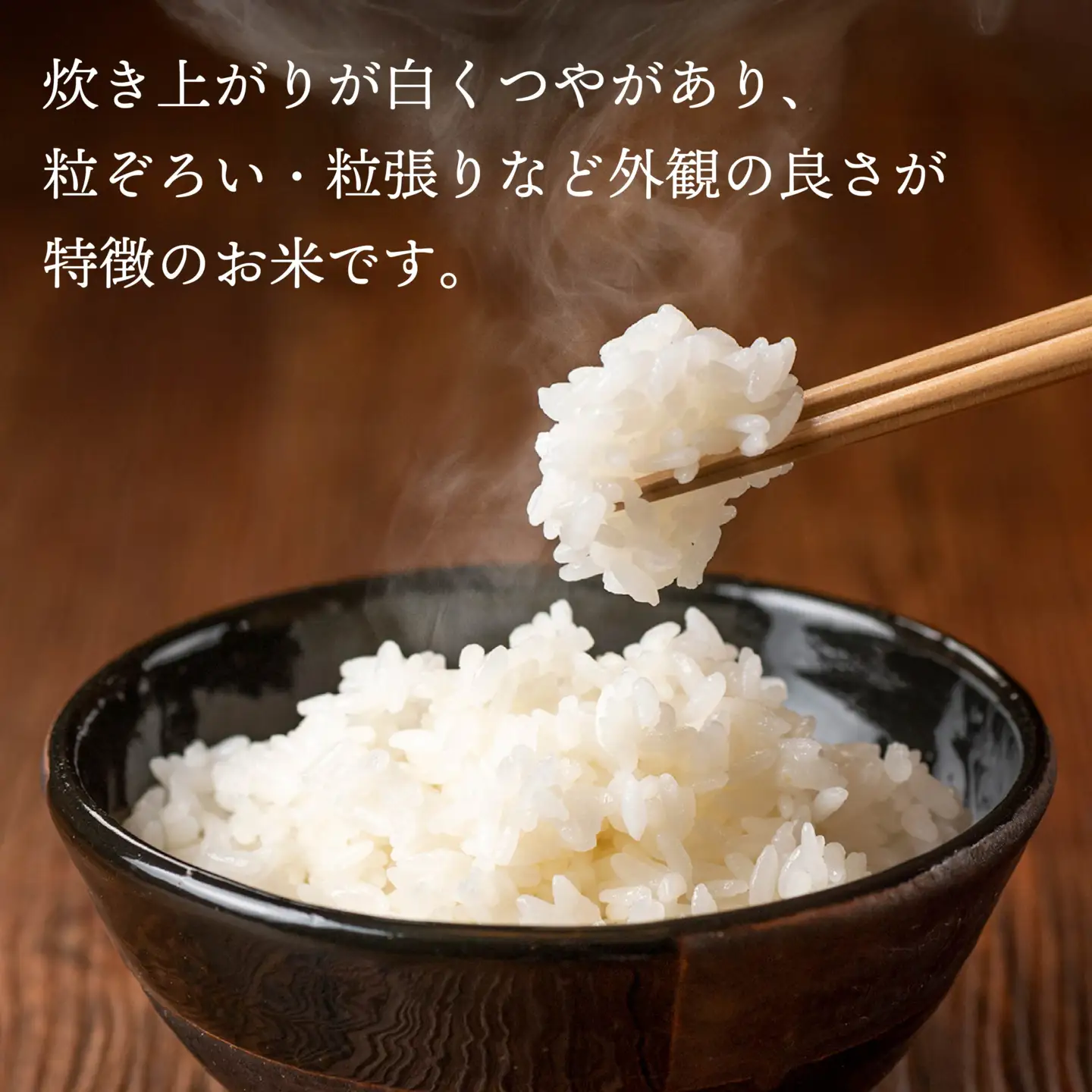 令和7年産 青森県産 まっしぐら 5kg 精米 白米 お米