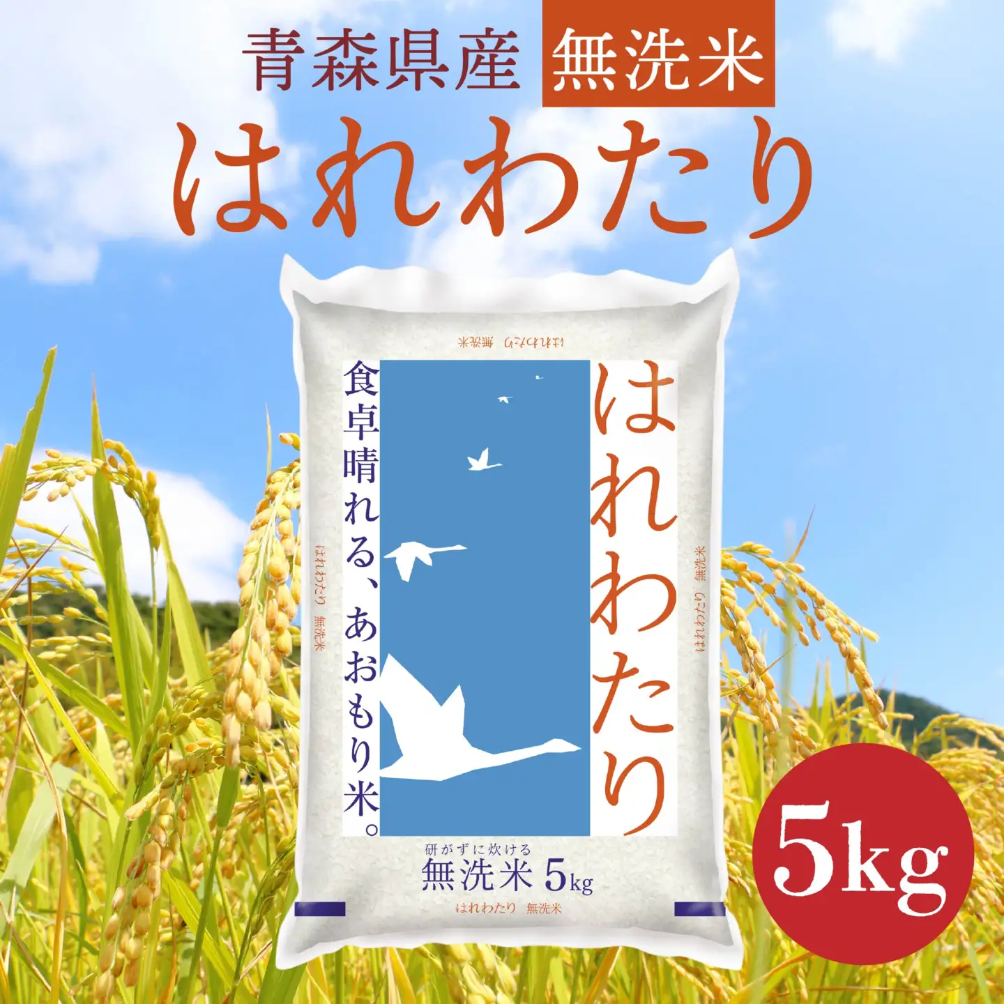 青森県産 無洗米 はれわたり 5kg　