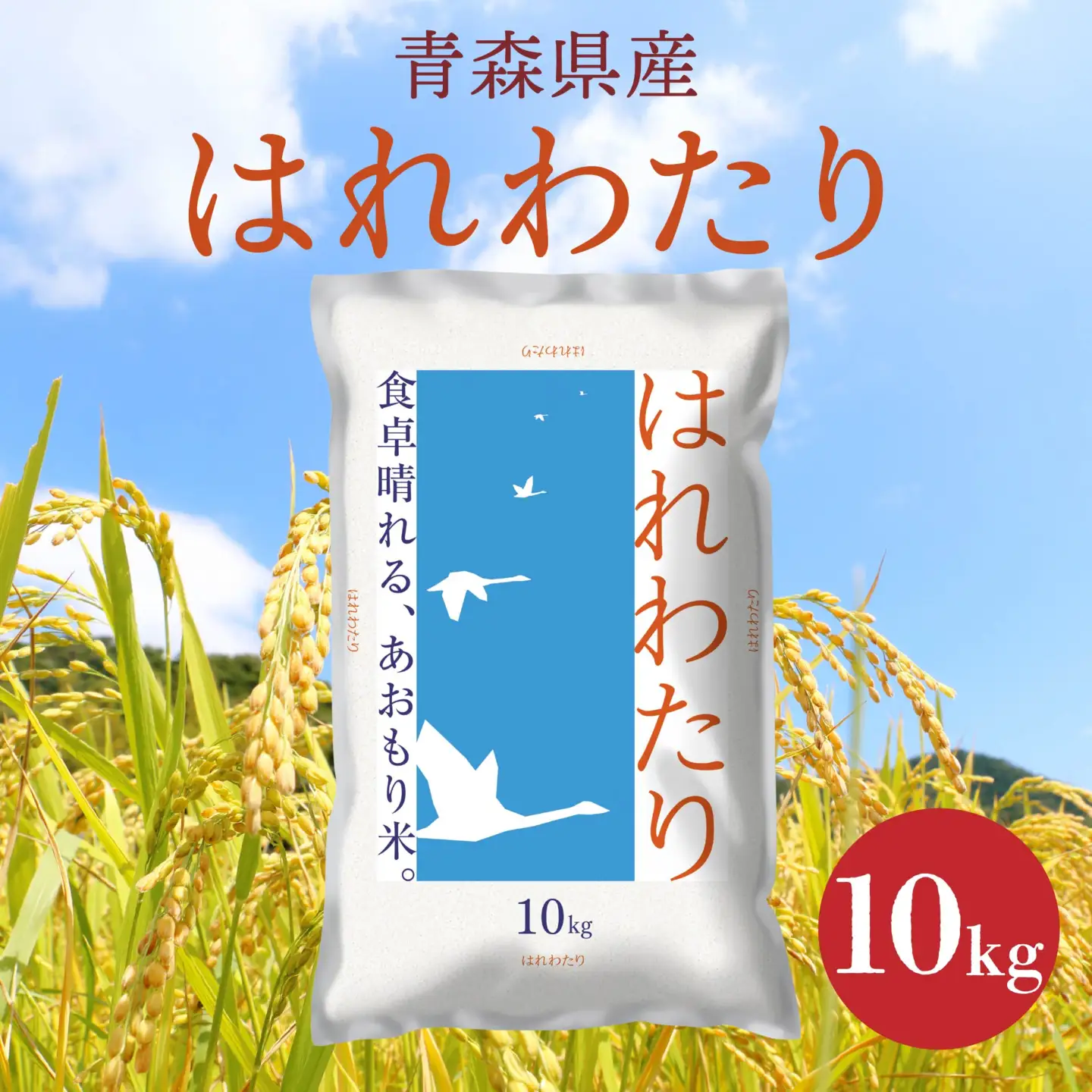 青森県産 はれわたり 10kg 10kg×1袋 令和7年産 米 精米 白米 お米 青森県産
