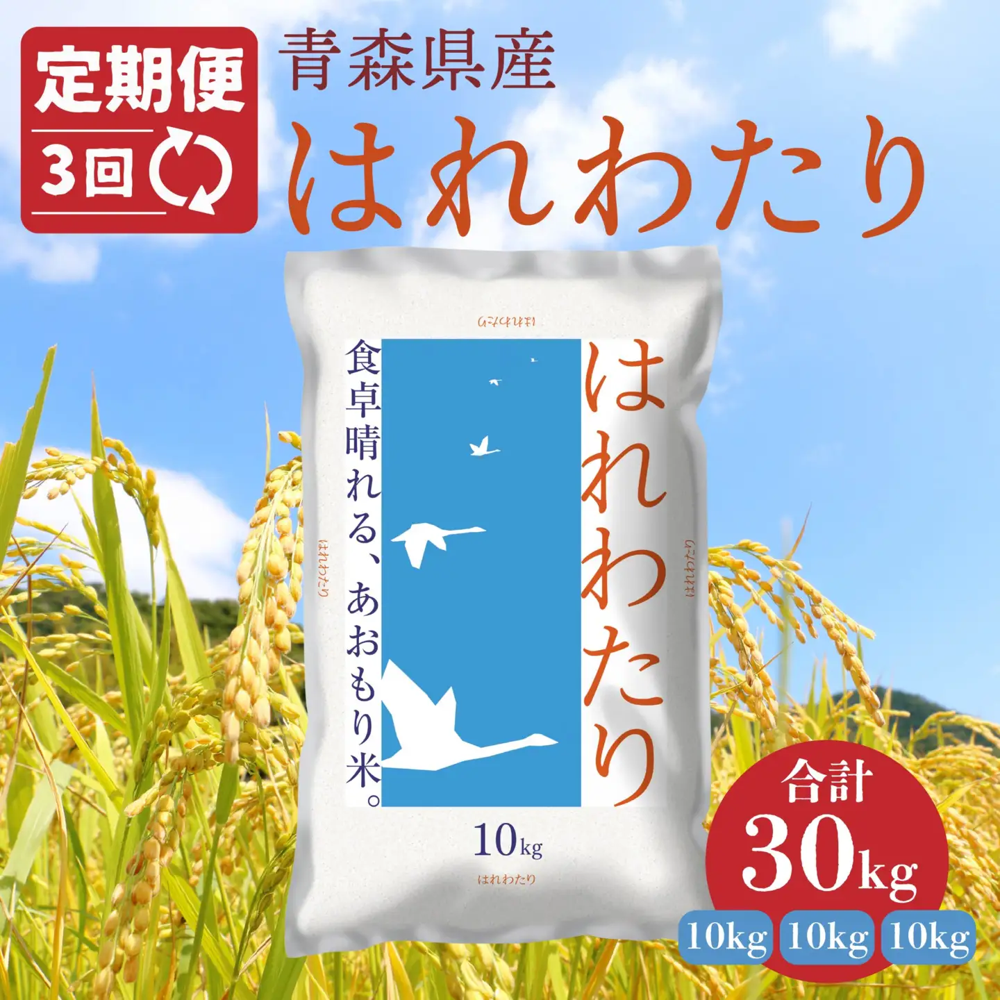 【3ヵ月定期便】 青森県産 はれわたり 10kg 10kg×1袋 合計30kg 令和7年産 米 精米 白米 お米 青森県産