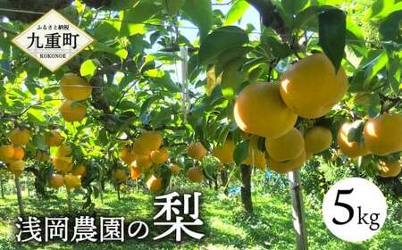 浅岡農園 の 梨 約5kg 豊水 秋月 新高 甘太 果物 大分県産 【2026年9月上旬-11月上旬発送予定】