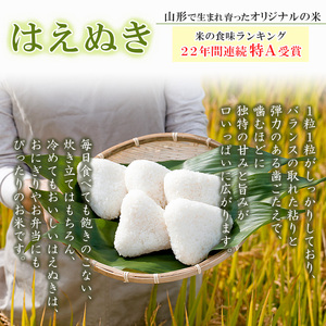 【定期便2回】山形県産 はえぬき 精米 5kg×2回(計10kg) FZ26-847