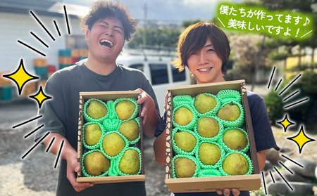 ★食べ頃出荷★山形県産 「ラ・フランス」 特秀品 5kg (12～20玉) 洋梨 ラフランス 山形【令和8年産先行予約】FS24-819