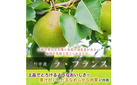 山形市産【高糖度ラフランス】特秀品 3kg (6～10玉) 極上フルーツ  洋梨 山形【令和8年産先行予約】FS24-821
