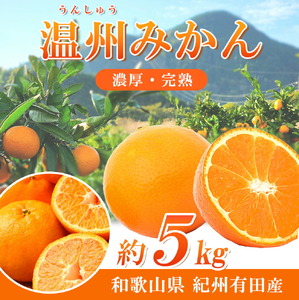 ［ご家庭用訳アリ］紀州有田産濃厚完熟温州みかん 約5kg ［2026年11月下旬以降発送 先行予約 ］［UT13］【uot003】