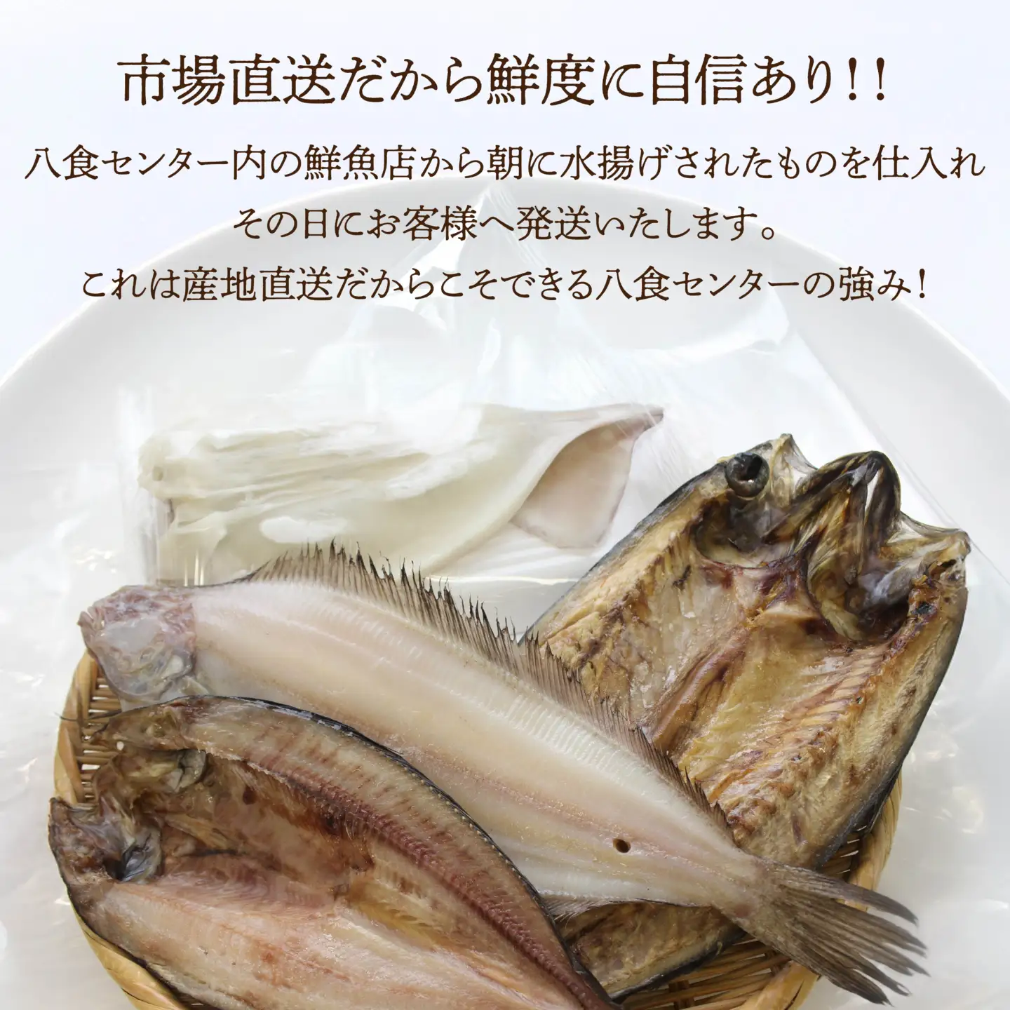 厳選 干物 セット イカ 鯖 真ホッケ オイランガレイ 一夜干し　