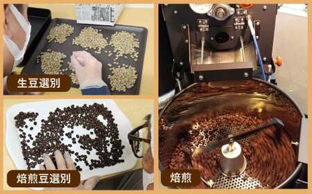 自家焙煎 コーヒー豆 ドリップバッグ 5種類 計50袋 飲みくらべ セット 1袋10g コーヒー 豆 飲み比べ