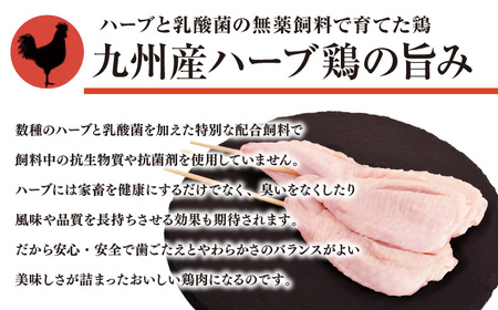 【12回定期便】九州産 焼き鳥セット 鶏もも 30本 / やきとり ヤキトリ 焼鳥 串セット 国産 冷凍 小分け / 南島原市 / ふるさと企画[SBA086]