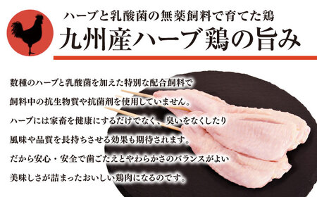 【6回定期便】九州産 焼き鳥セット 鶏せせり 30本 / やきとり ヤキトリ 焼鳥 串セット 国産 冷凍 小分け / 南島原市 / ふるさと企画[SBA088]