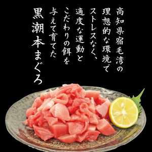 本まぐろ 切り落とし 300g  まぐろ