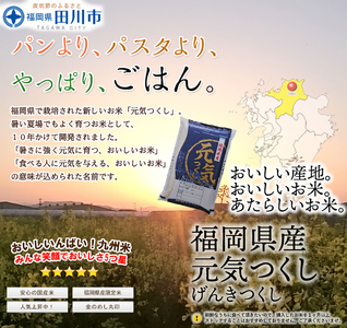 お米 福岡県産元気つくし 5kg お米