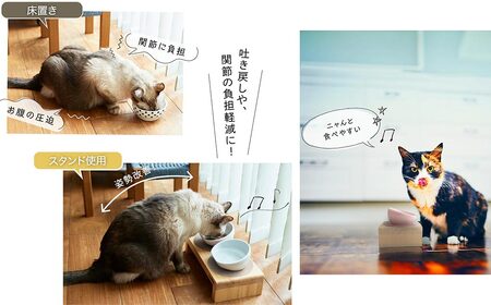 フードボウル スタンド セット 国産ヒノキ 食器 名入れ 「ネコトキ」（ダブル）ホワイト＆ペールピンク 【四国加工】 ペット用品