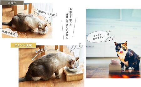 フードボウル スタンド セット 国産ヒノキ 食器 名入れ 「ネコトキ」（シングル）ペールブルー 【四国加工】 ペット用品
