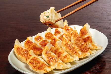 宇都宮餃子 とんきっき 餃子60個セット（計1.1kg） ※離島への配送不可