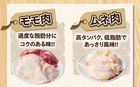 数量限定 みやざき地頭鶏 1羽まるごとセット 肉 鶏肉 国産 食品 小分け 食べ比べ もも むね ささみ 手羽先 手羽元 砂肝 レバー おかず おつまみ お弁当 晩ご飯 から揚げ サラダ 真空パック 冷凍 おすすめ ギフト 贈り物 贈答 宮崎県 日南市 送料無料_DC22-24