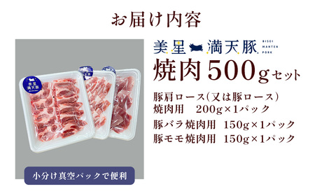 美星満天豚 焼肉 500gセット（豚肩ロース又は豚ロース、豚バラ、豚モモ）小分け真空パック