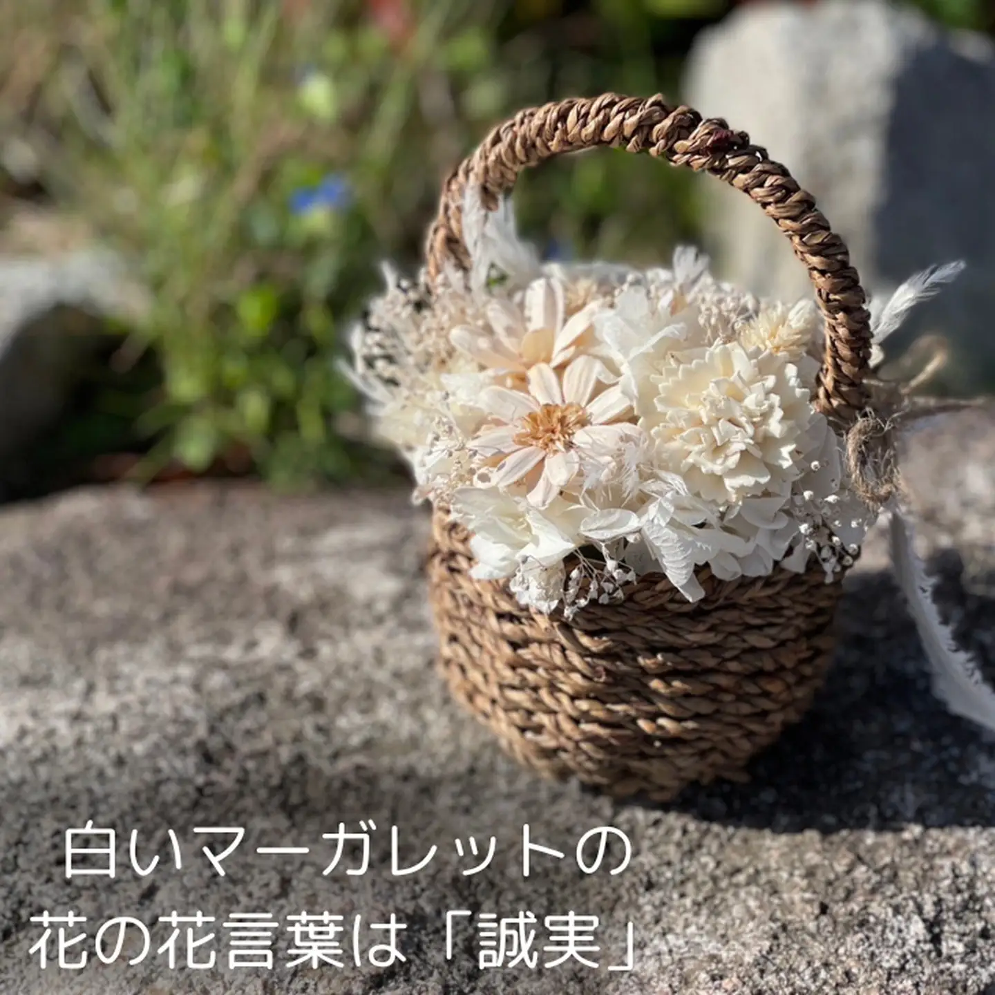 ドライフラワーバスケットアレンジ　ホワイト：B240-020
