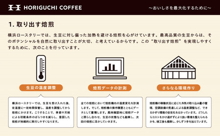 ＜スペシャルティコーヒー＞旬のおすすめシングルオリジン3種セット（100g×3種：粉に挽く） AHL0021