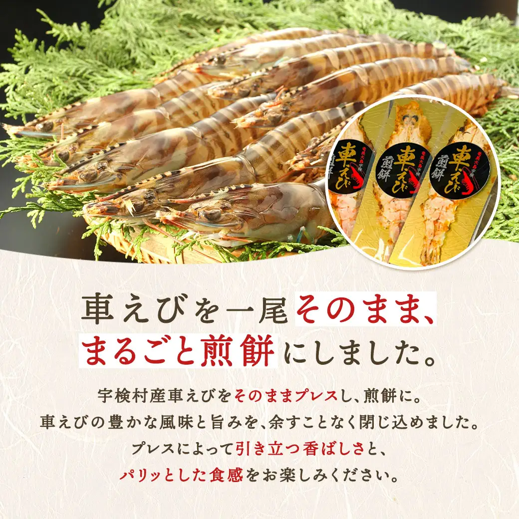 車えび姿焼き煎餅(3枚セット) 車えび エビ おつまみ 奄美大島 宇検村 鹿児島