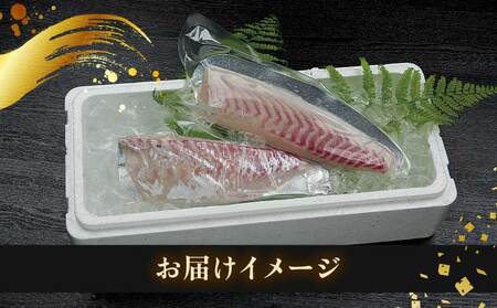 タイ 短冊 1尾分 約700g 有限会社 アクアプラス タイ D020-090002