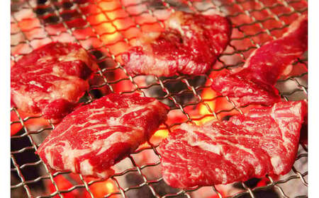 博多和牛 A4ランク以上 焼肉用 タレ漬 約550g バラ 肩ロース ウデ 肉 お肉 にく 牛肉 博多 和牛 焼肉 焼き肉 タレ 漬け込み タレ漬け 味付け肉 小分け 冷凍