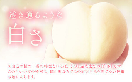 岡山白桃 キング・エース 約4kg 8~15玉 橋田商店有限会社 桃