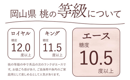 白桃 エース 約1.5kg 桃茂実苑【配送不可地域あり】